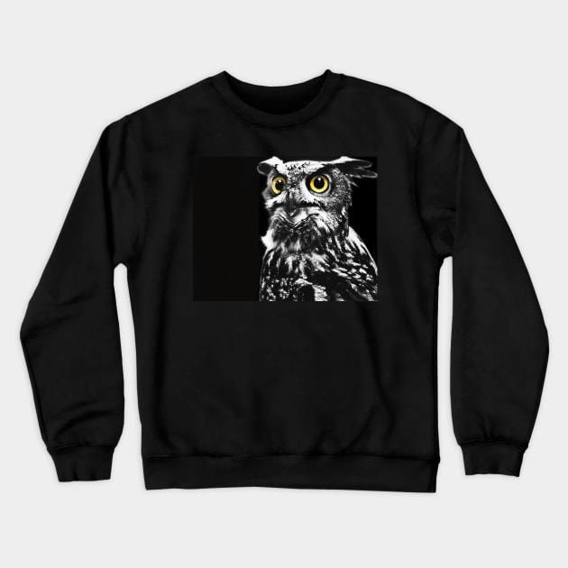 Night Owl Crewneck Sweatshirt by LaurieMinor